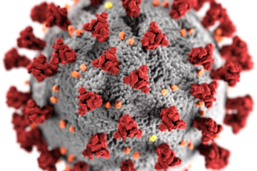 SARS-CoV-2 3D Visualisierung